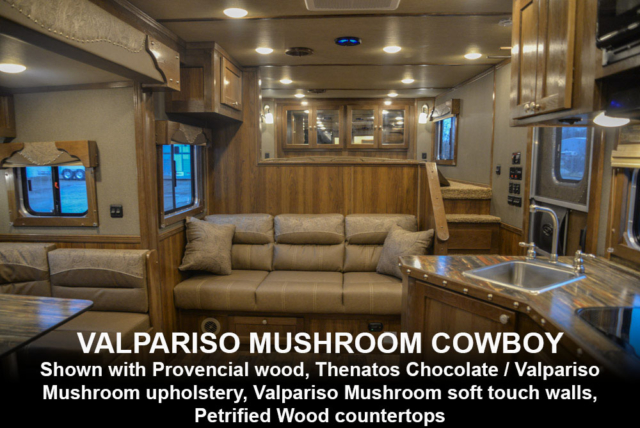 Valpariso Mushroom Cowboy Decor | SMC Laramie Edition